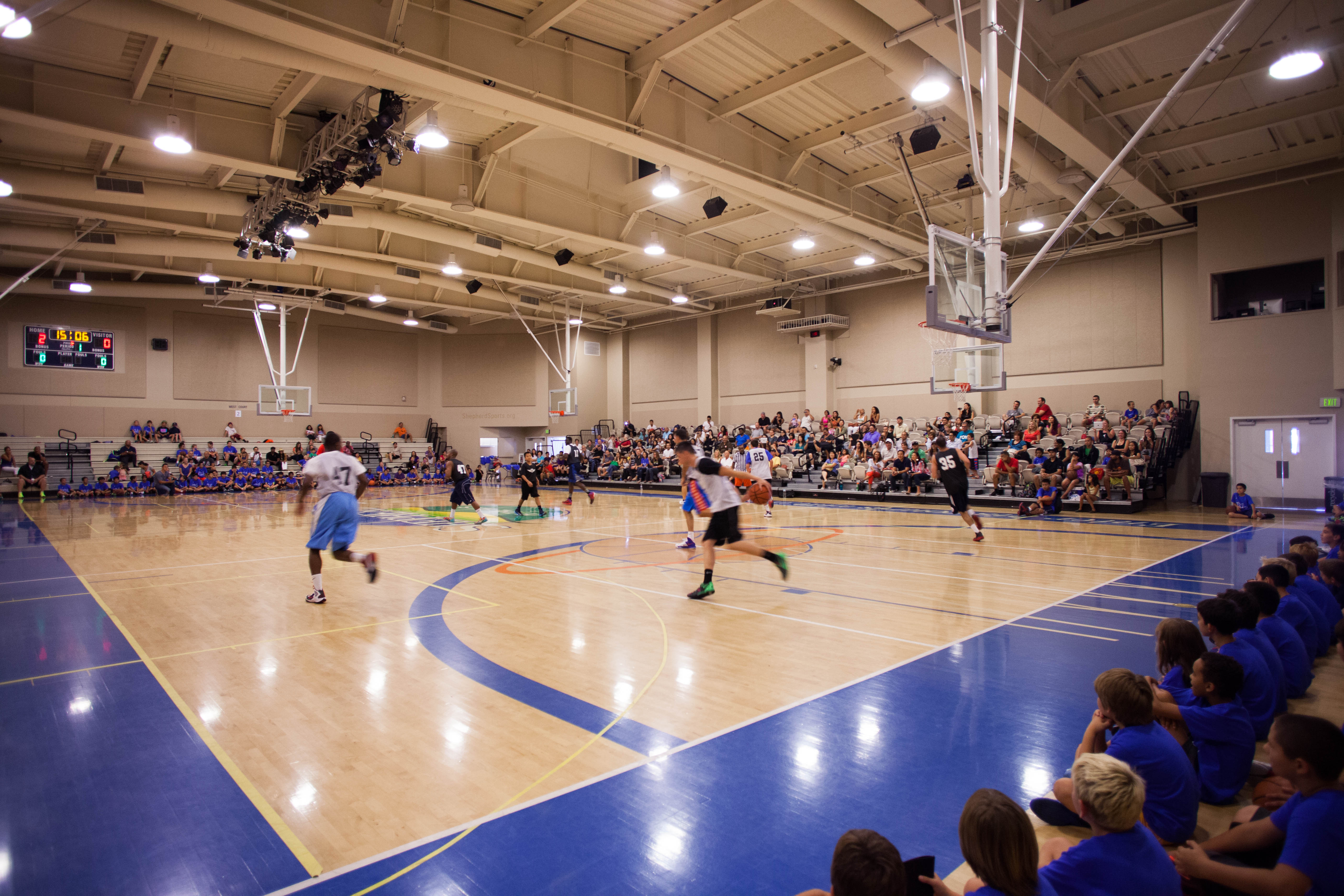 What Is A Shepherd In The Church